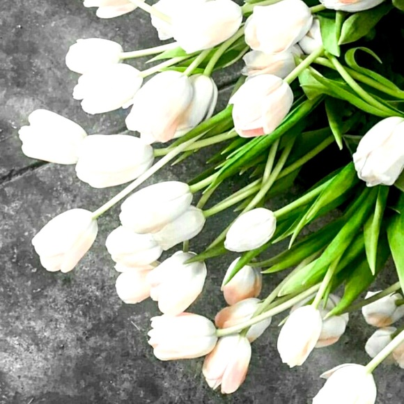 Magic this Holiday Season!❄️ - Picture 3 of 3